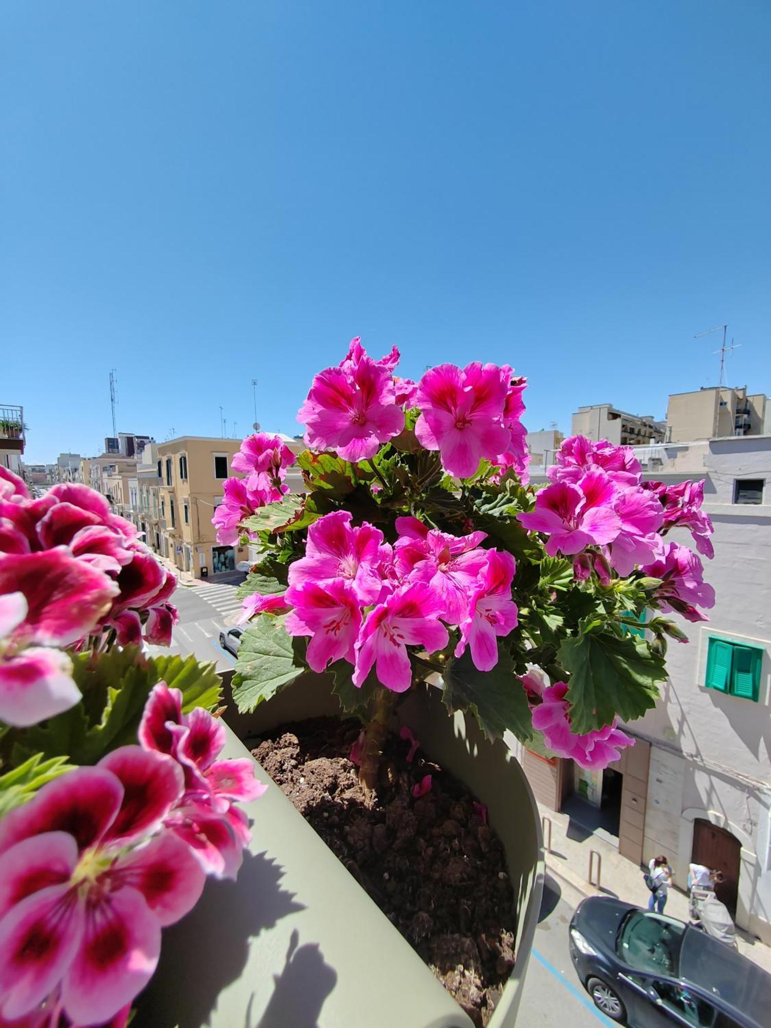 Apartamento Palazzina Dimora Cavour Monopoli Exterior foto